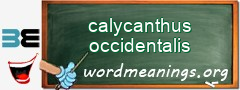 WordMeaning blackboard for calycanthus occidentalis